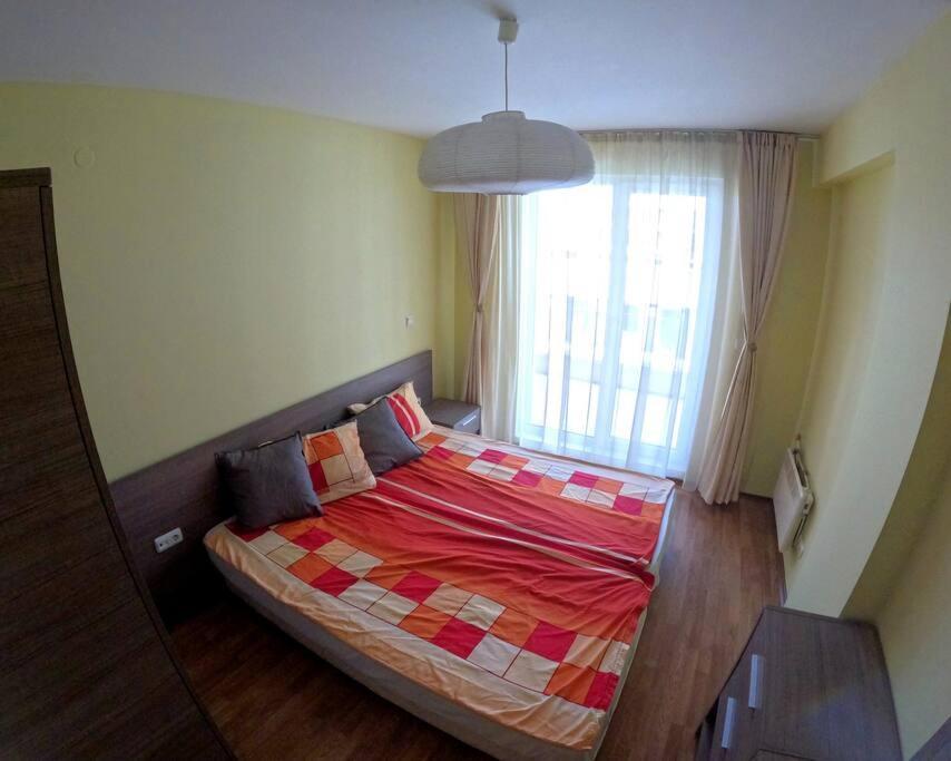 Darelina In The Center Of Apartment