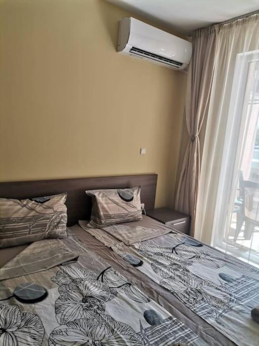 Darelina In The Center Of Apartamento Sofía